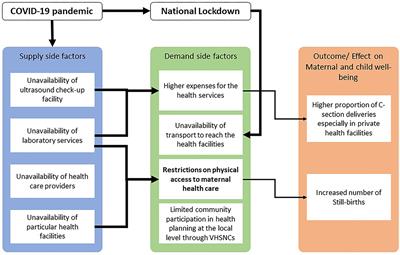 Accessing Maternal Health Care in the Midst of the COVID-19 Pandemic: A Study in Two Districts of Assam, India